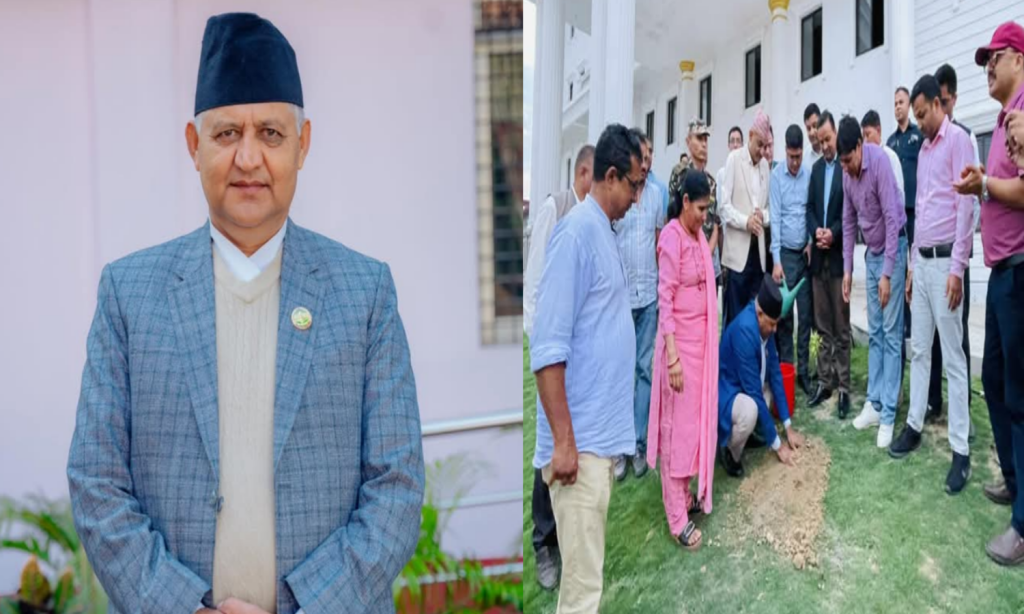 विरुवा रोपेर मनाइयो लुम्बिनीका मुख्यमन्त्री आचार्यको जन्मदिन