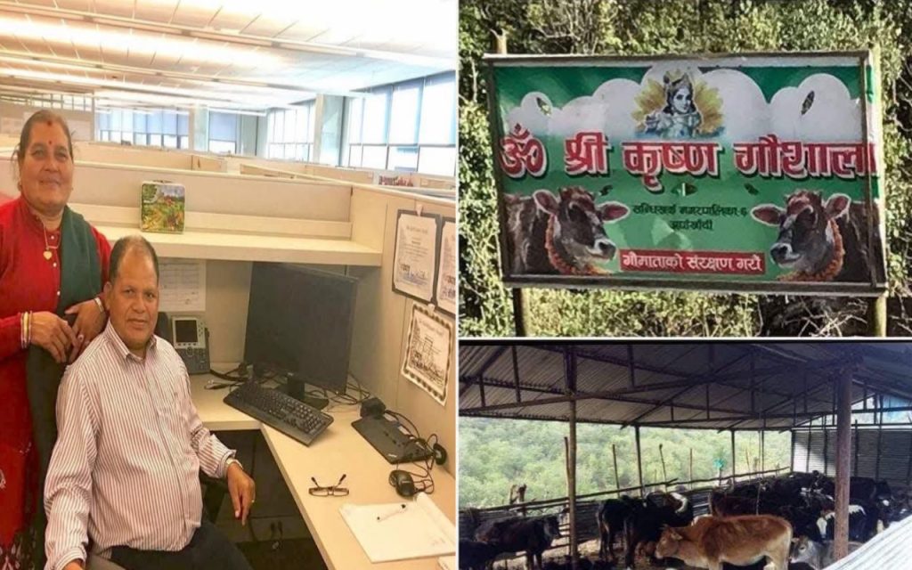 जन्मदिनमा पुण्य कार्य : अमेरिका निवासी भुसाल द्वारा नरपानी गौशालालाई सहयोग